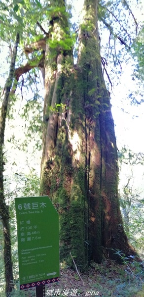 IMG_20211016_112351.jpg IMG_20211016_112351.jpg