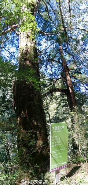 IMG_20211016_112435.jpg IMG_20211016_112435.jpg