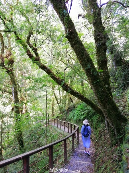 IMG_20211016_113203.jpg IMG_20211016_113203.jpg