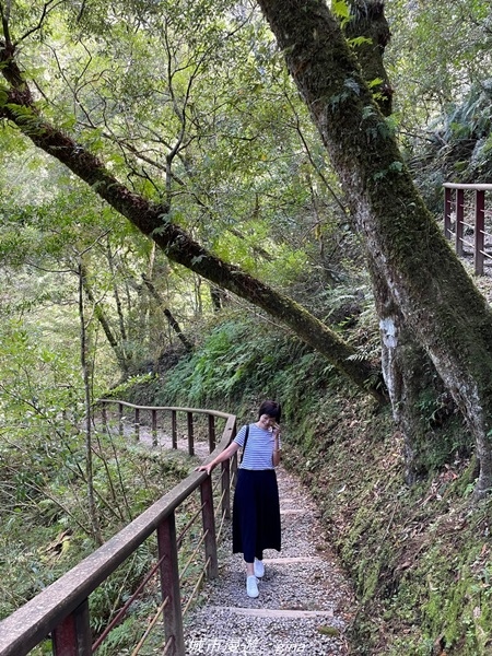 IMG_20211016_113245.jpg IMG_20211016_113245.jpg