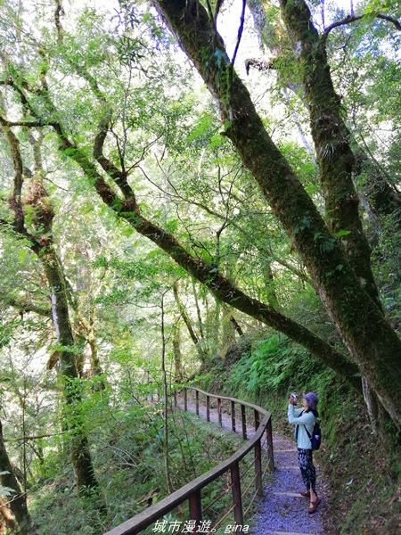 IMG_20211016_113243.jpg IMG_20211016_113243.jpg