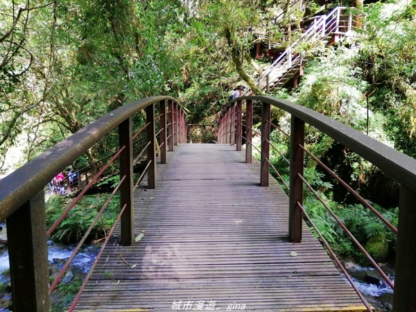 IMG_20211016_114020.jpg IMG_20211016_114020.jpg