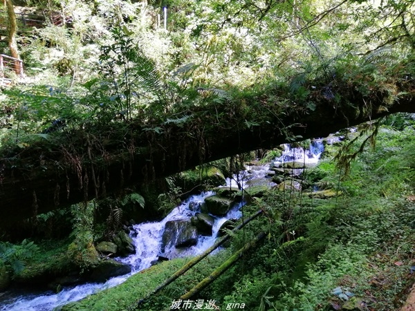 IMG_20211016_113958.jpg IMG_20211016_113958.jpg