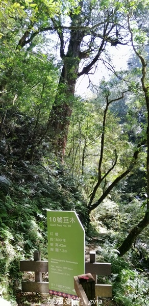 IMG_20211016_114551.jpg IMG_20211016_114551.jpg