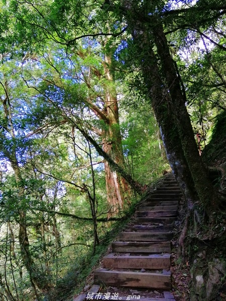 IMG_20211016_114722.jpg IMG_20211016_114722.jpg