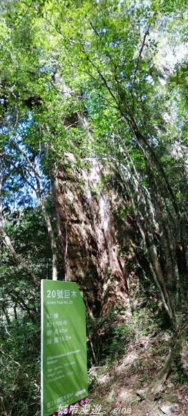 IMG_20211016_120059.jpg IMG_20211016_120059.jpg