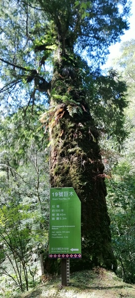 IMG_20211016_120921.jpg IMG_20211016_120921.jpg