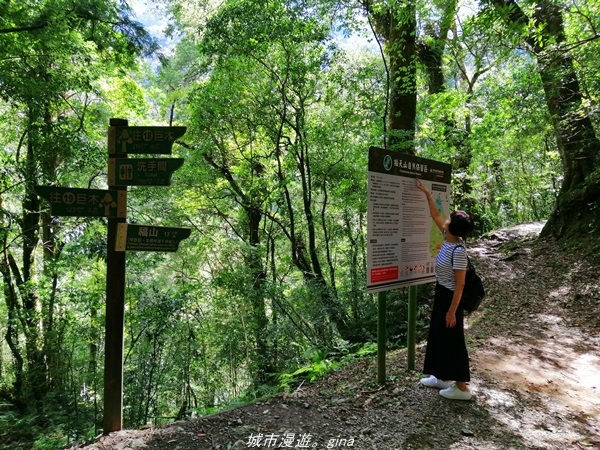 IMG_20211016_121527.jpg IMG_20211016_121527.jpg