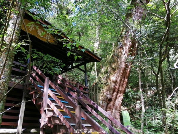 IMG_20211016_122654.jpg IMG_20211016_122654.jpg