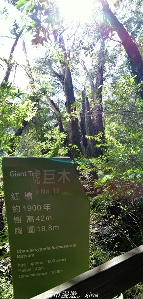 IMG_20211016_122429.jpg IMG_20211016_122429.jpg