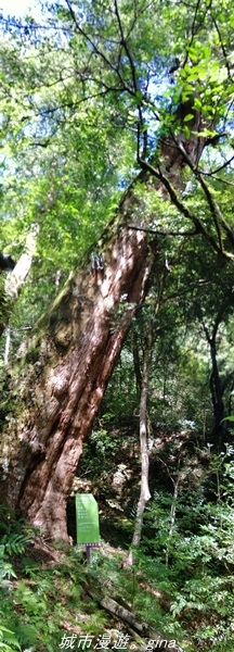 IMG_20211016_122722.jpg IMG_20211016_122722.jpg