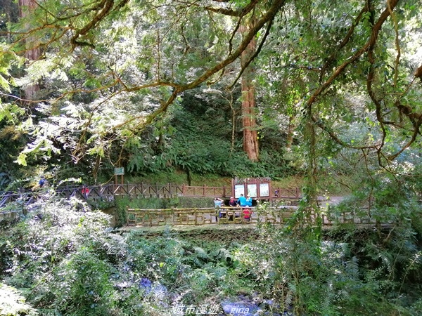 IMG_20211016_124415.jpg IMG_20211016_124415.jpg