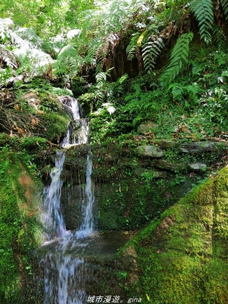 IMG_20211016_124332.jpg IMG_20211016_124332.jpg