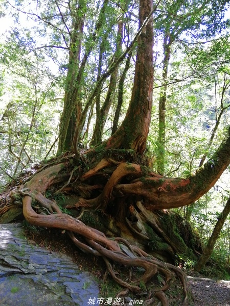 IMG_20211016_124206.jpg IMG_20211016_124206.jpg