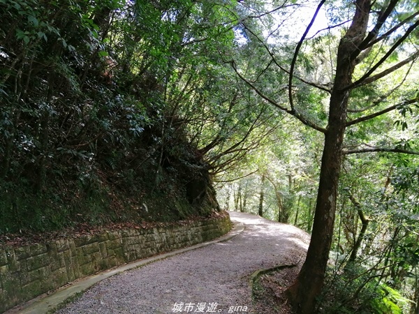 IMG_20211016_125925.jpg IMG_20211016_125925.jpg