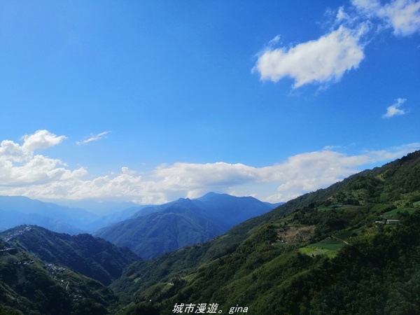 【桃園復興】有氧森呼吸。 山迢路遠超美的拉拉山神木群步道