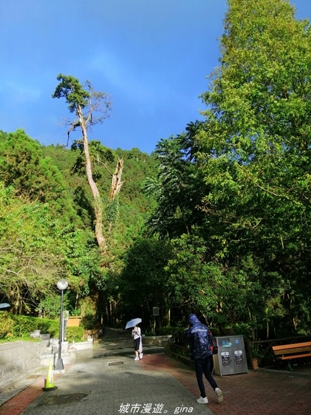 【宜蘭大同】一腳橫跨桃園宜蘭。 來不及入園的明池森林遊樂區