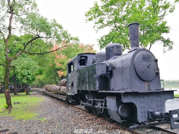 IMG_20211017_091607.jpg IMG_20211017_091607.jpg