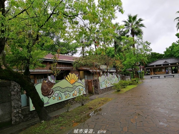 【宜蘭羅東】漫遊在城市裡的蒼鬱綠林。 羅東林業文化園區步道