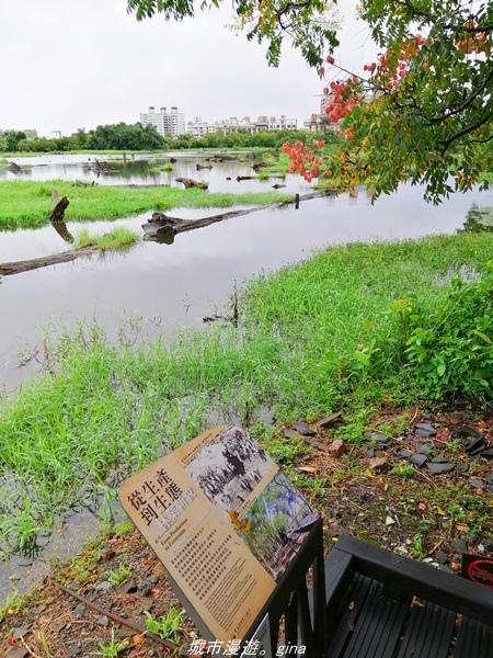 IMG_20211017_092309.jpg IMG_20211017_092309.jpg