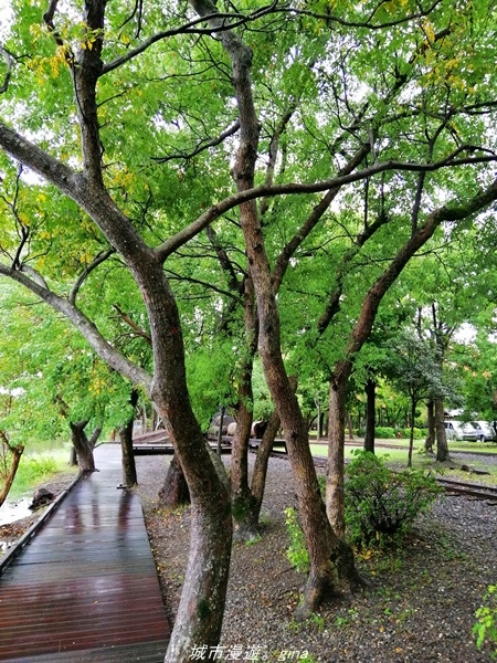 IMG_20211017_092018.jpg IMG_20211017_092018.jpg