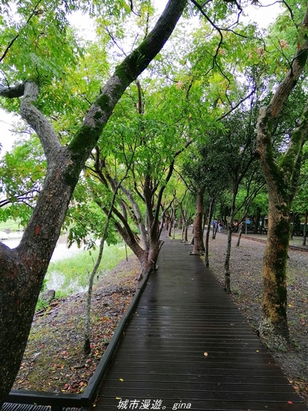 【宜蘭羅東】漫遊在城市裡的蒼鬱綠林。 羅東林業文化園區步道