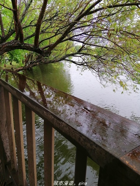 IMG_20211017_094731.jpg IMG_20211017_094731.jpg