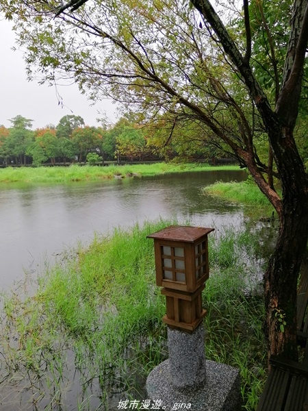 IMG_20211017_094444.jpg IMG_20211017_094444.jpg