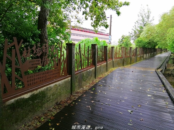 IMG_20211017_095233.jpg IMG_20211017_095233.jpg