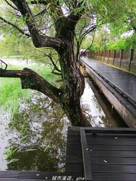 IMG_20211017_095518.jpg IMG_20211017_095518.jpg