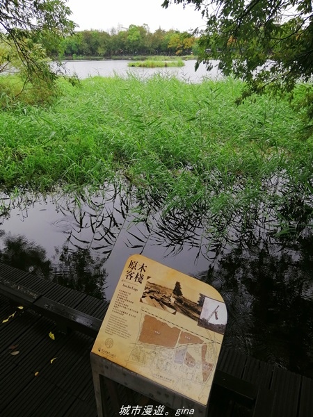 IMG_20211017_095822.jpg IMG_20211017_095822.jpg