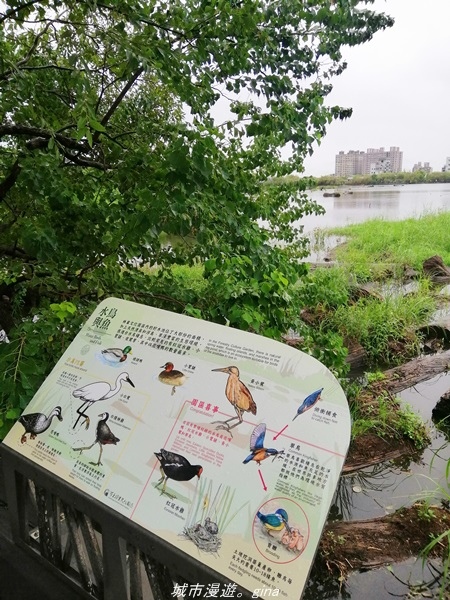 IMG_20211017_100438.jpg IMG_20211017_100438.jpg