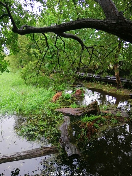 IMG_20211017_100337.jpg IMG_20211017_100337.jpg