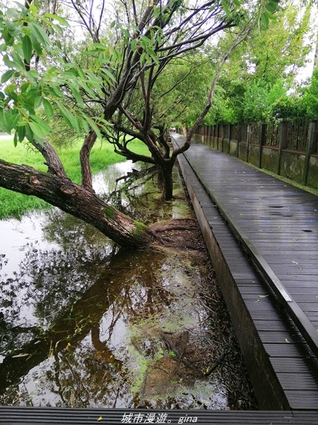 IMG_20211017_095841.jpg IMG_20211017_095841.jpg