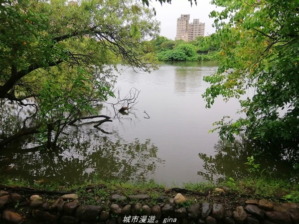 IMG_20211017_100553.jpg IMG_20211017_100553.jpg