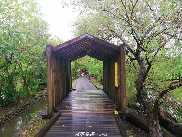 IMG_20211017_100602.jpg IMG_20211017_100602.jpg