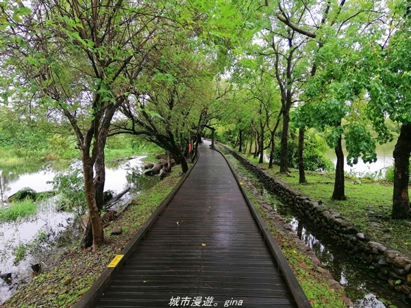 IMG_20211017_101246.jpg IMG_20211017_101246.jpg