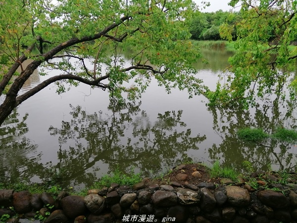 IMG_20211017_100648.jpg IMG_20211017_100648.jpg