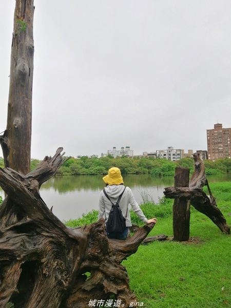 IMG_20211017_101057.jpg IMG_20211017_101057.jpg