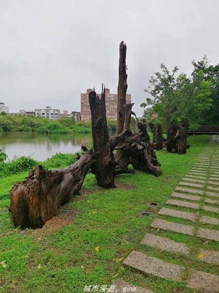 IMG_20211017_100826.jpg IMG_20211017_100826.jpg