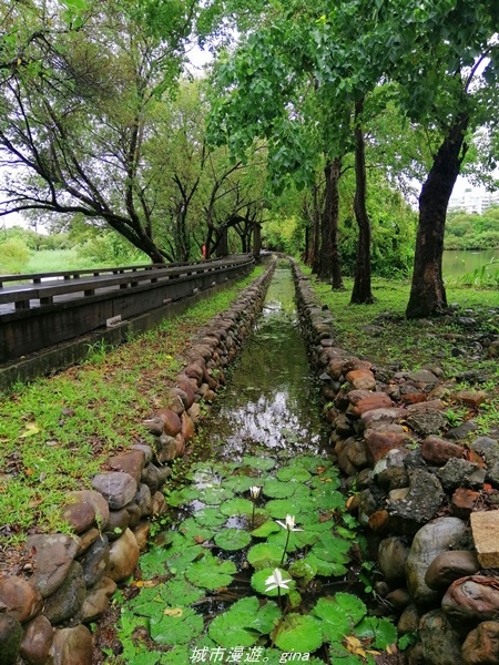 IMG_20211017_101237.jpg IMG_20211017_101237.jpg