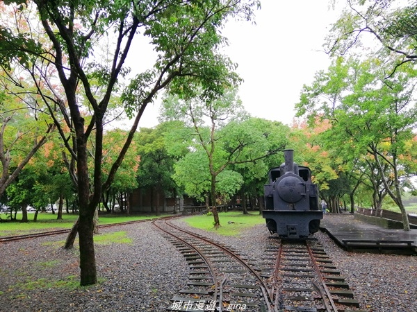 【宜蘭羅東】漫遊在城市裡的蒼鬱綠林。 羅東林業文化園區步道