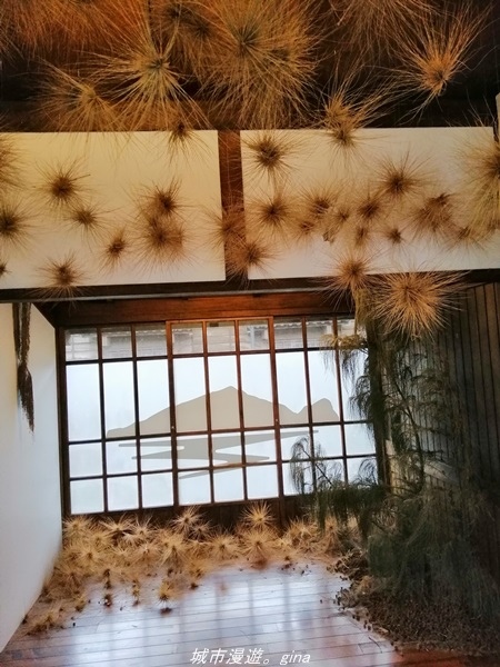 IMG_20211017_105724.jpg IMG_20211017_105724.jpg