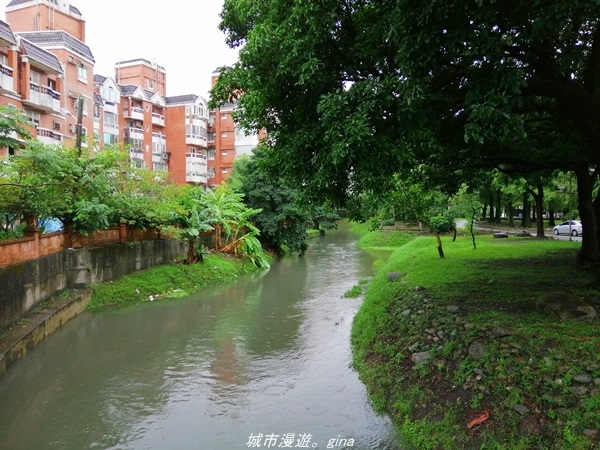 IMG_20211017_075451.jpg