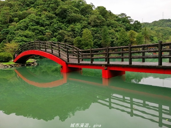 【宜蘭 員山】恬靜悠適。 望龍埤環湖步道