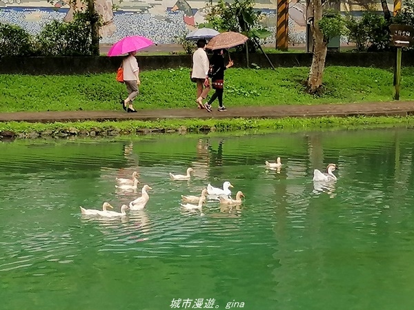 【宜蘭 員山】恬靜悠適。 望龍埤環湖步道