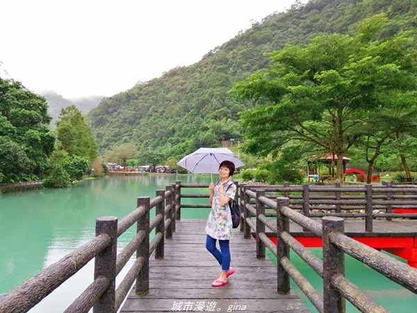 【宜蘭 員山】恬靜悠適。 望龍埤環湖步道