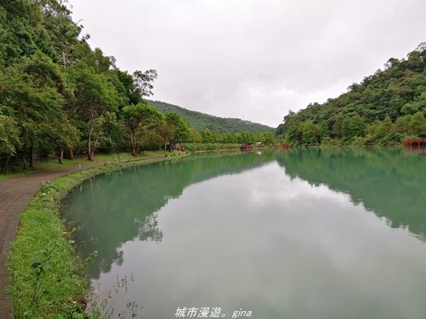 IMG_20211017_135000.jpg IMG_20211017_135000.jpg