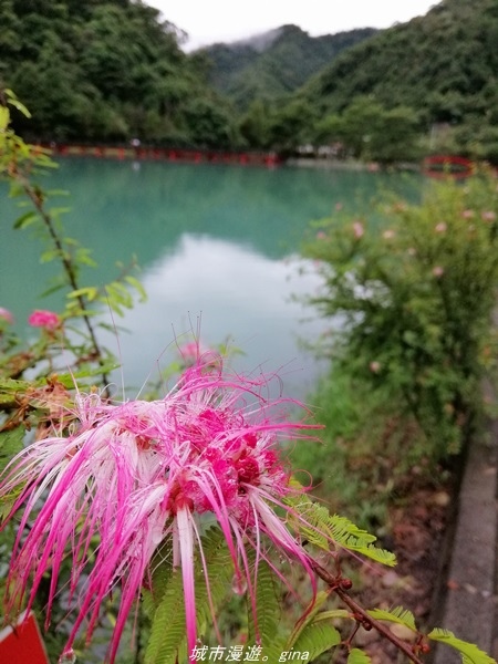 IMG_20211017_134721.jpg IMG_20211017_134721.jpg