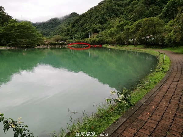 IMG_20211017_134854.jpg IMG_20211017_134854.jpg